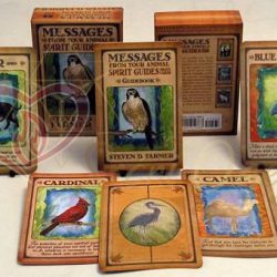 Karte Messages from your Animal Spirit guides 1-1_logo