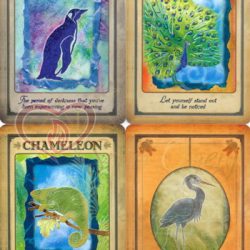 Karte Messages from your Animal Spirit guides 4_logo