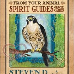 Karte Messages from your Animal Spirit guides 5_logo