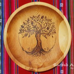 Lesen kroznik - drevo zivljenja 1 - vodni zig