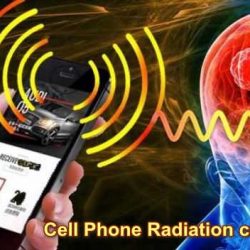 Sungitna ploscica za zascito pred sevanji_3